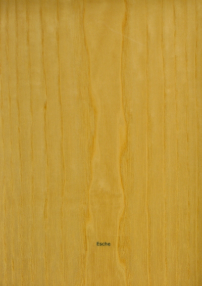 Bild 6 von Furnier Lehmann e.K.